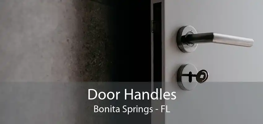 Door Handles Bonita Springs - FL