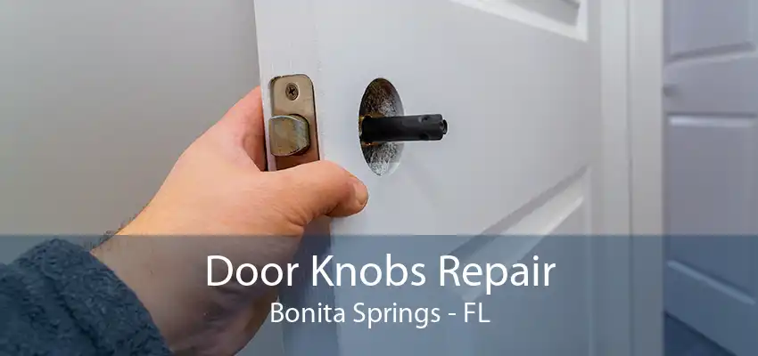 Door Knobs Repair Bonita Springs - FL