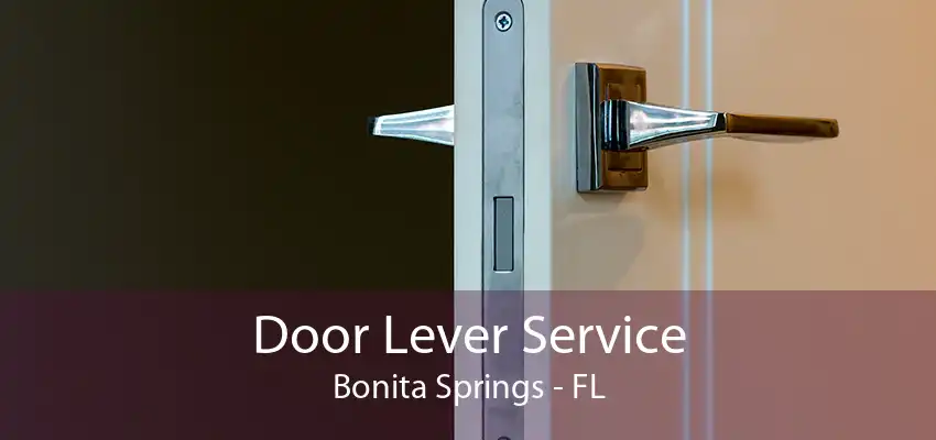 Door Lever Service Bonita Springs - FL