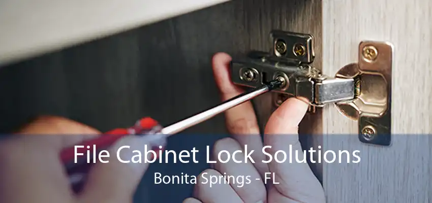 File Cabinet Lock Solutions Bonita Springs - FL