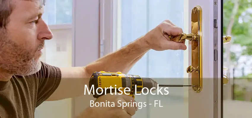 Mortise Locks Bonita Springs - FL